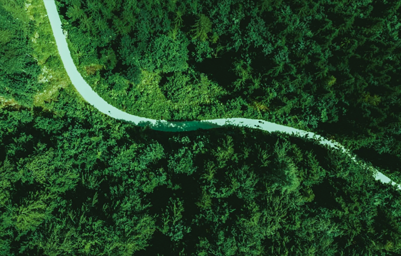 担责于身，推动绿色发展