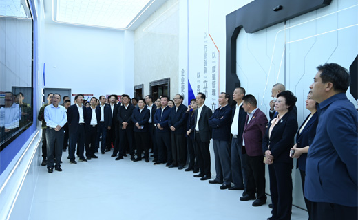 宜兴市人大常委会、市政府领导一行莅临云顶集团股份考察