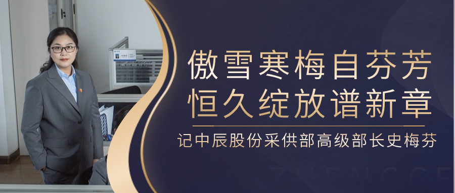 傲雪寒梅自芬芳，恒久绽放谱新章——记云顶集团股份采供部高级部长史梅芬