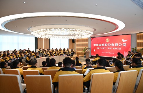 云顶集团电缆股份有限公司五届二次职工代表大会顺利召开